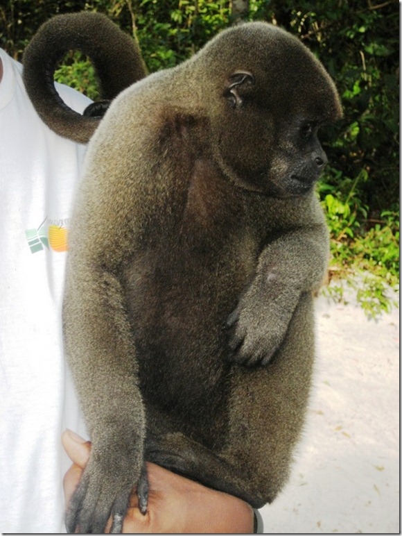 2008_07_17 Brazil Amazon Monkey Park (3)